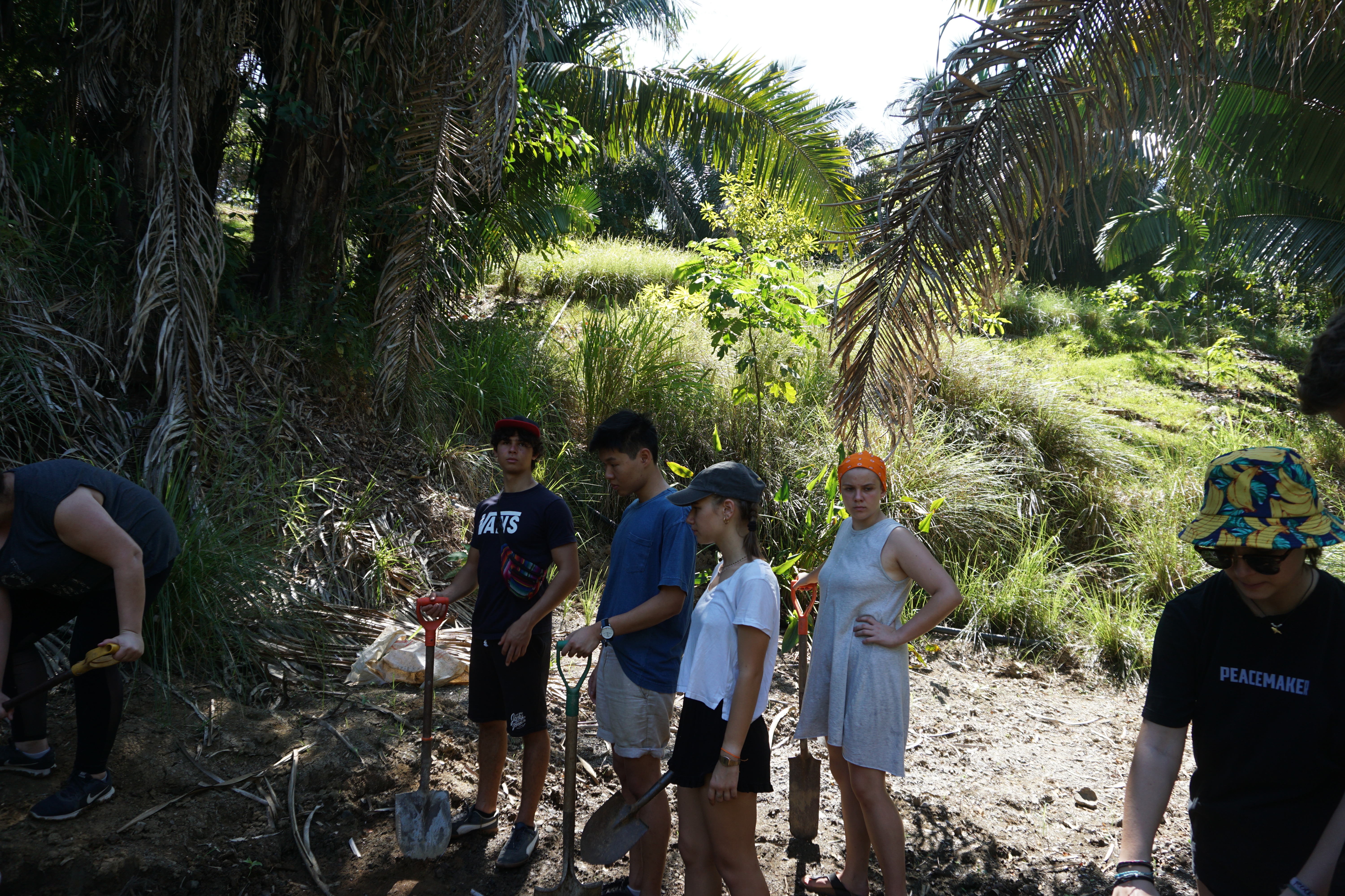 CIRENAS conservation